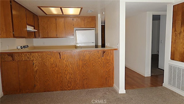 kitchen with fridge, kitchen peninsula, and dark carpet