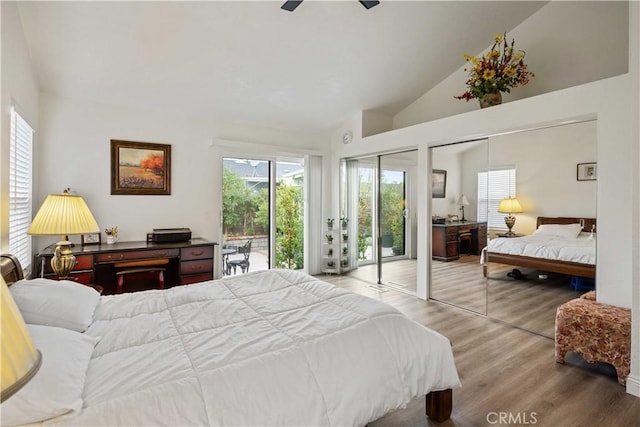 bedroom featuring ceiling fan, high vaulted ceiling, access to outside, two closets, and hardwood / wood-style flooring