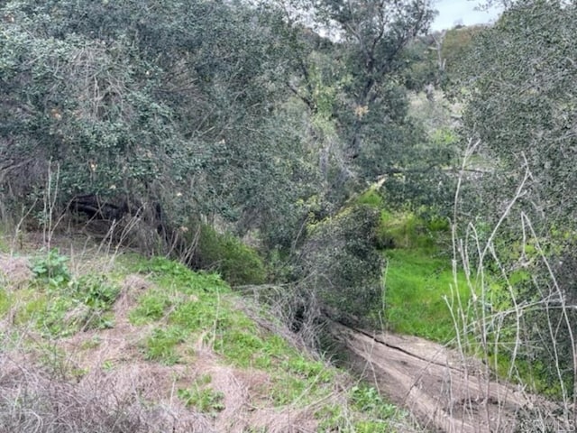 36353 Carney Rd, Valley Center, CA 92082 - photo 22