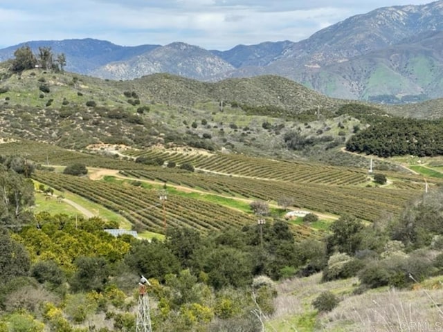 36353 Carney Rd, Valley Center, CA 92082 - photo 13