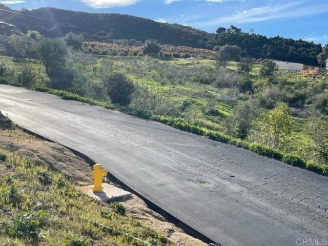 36353 Carney Rd, Valley Center, CA 92082 - photo 9
