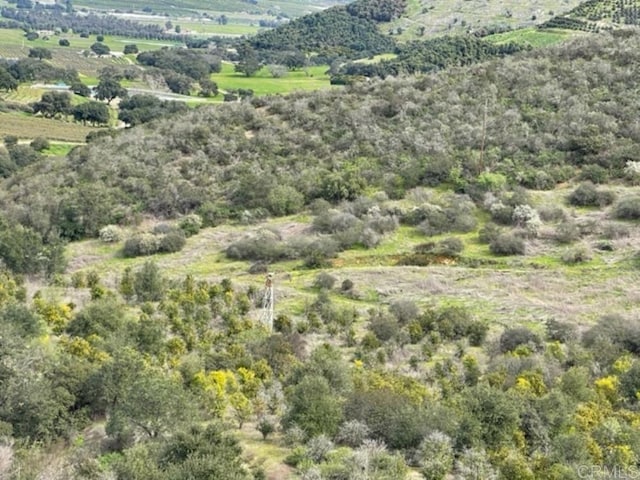 36353 Carney Rd, Valley Center, CA 92082 - photo 11