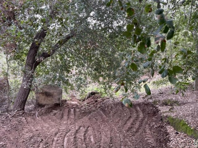 36353 Carney Rd, Valley Center, CA 92082 - photo 20