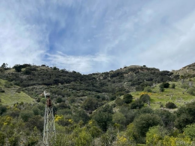 36353 Carney Rd, Valley Center, CA 92082 - photo 21