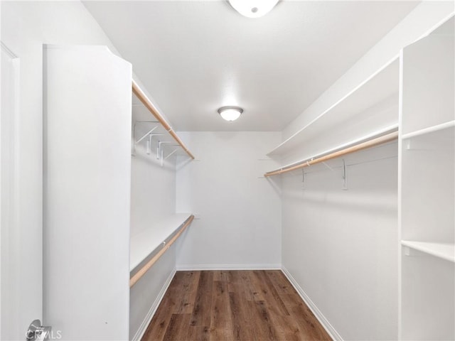 spacious closet with dark hardwood / wood-style floors