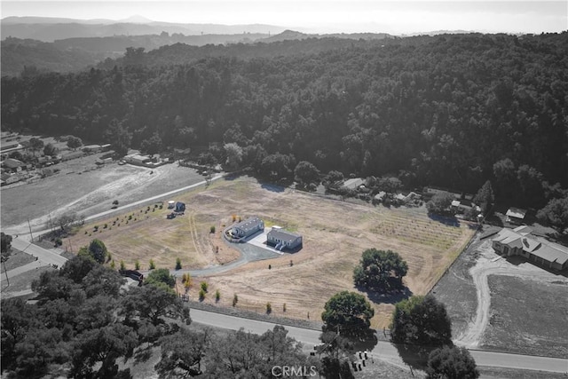 1592 Deer Canyon Rd, Arroyo Grande, CA 93420 - aerial view of property and surrounding area with a forest, rural landscape, and a mountain backdrop