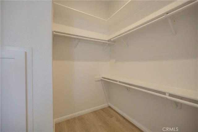 spacious closet with wood-type flooring