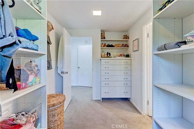 spacious closet with light carpet