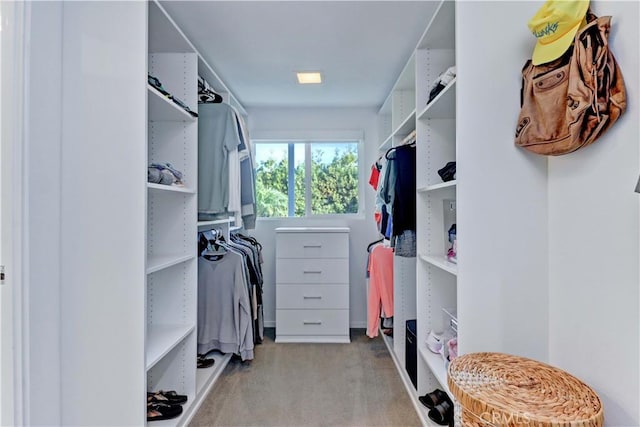 walk in closet with light carpet