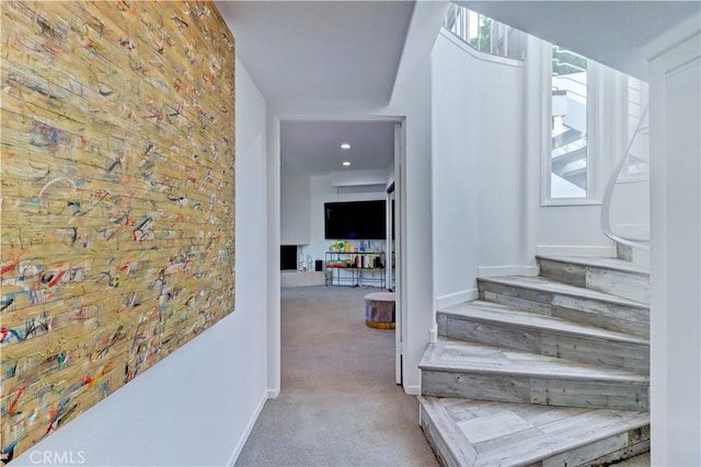 staircase featuring carpet floors