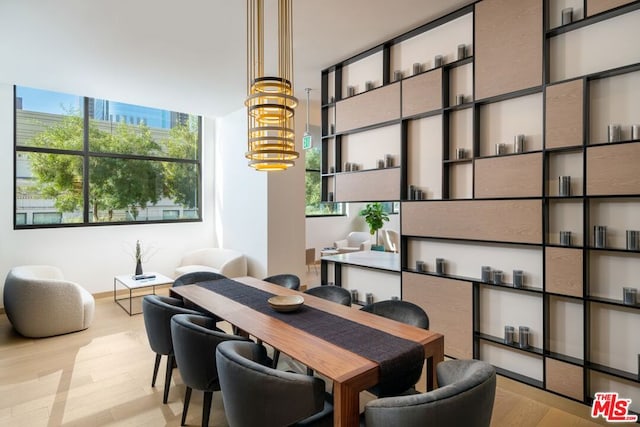 dining room with a chandelier, a healthy amount of sunlight, and light hardwood / wood-style floors