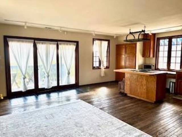 kitchen with kitchen peninsula and dark wood-type flooring