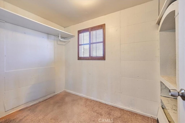 walk in closet featuring light colored carpet