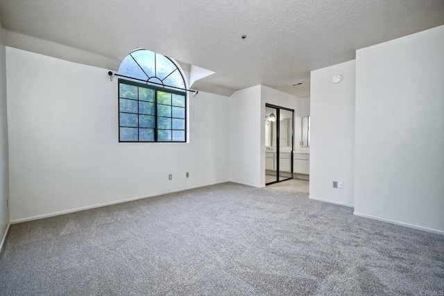 spare room with carpet floors and a textured ceiling