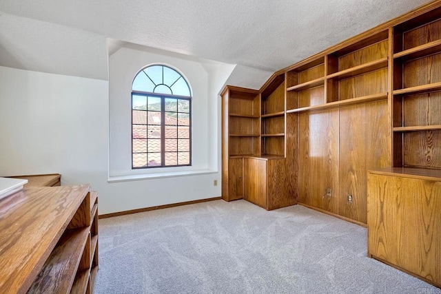 unfurnished office featuring light carpet and a textured ceiling