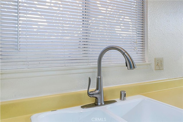 interior details featuring sink