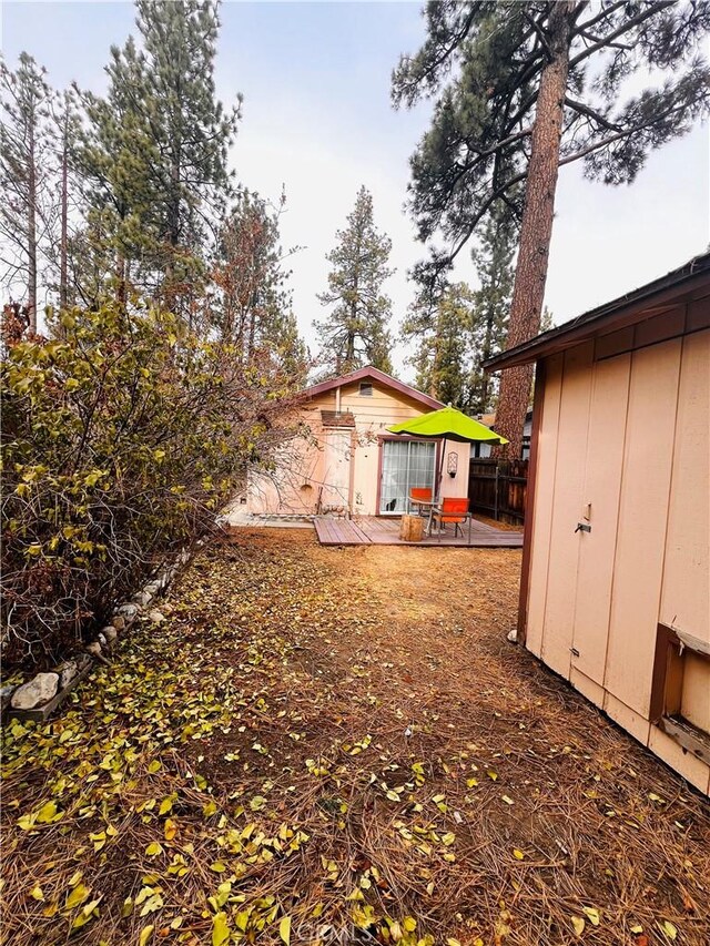 view of yard featuring a patio and a shed