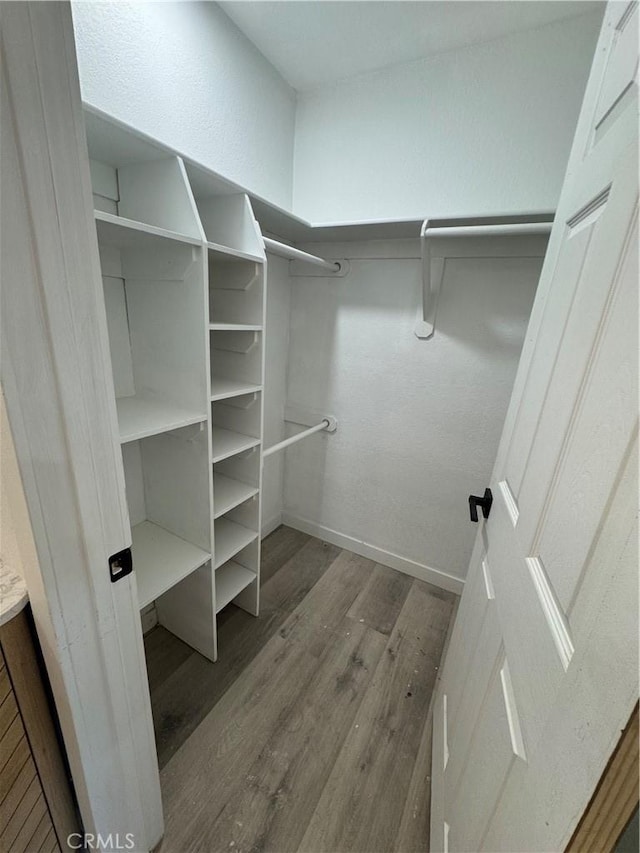 walk in closet with hardwood / wood-style flooring