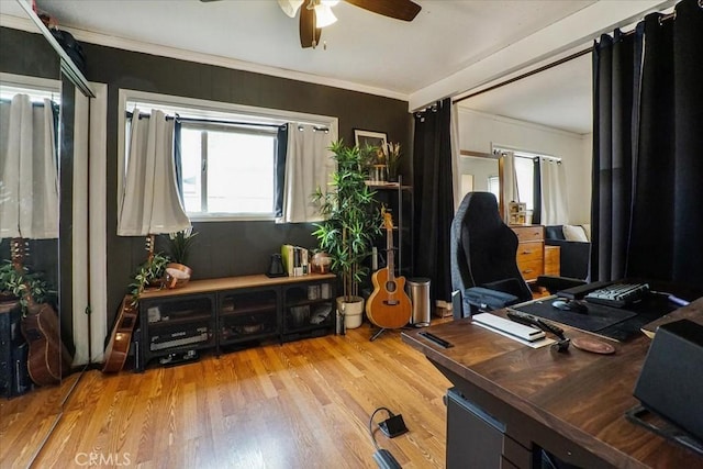 office area featuring crown molding, light wood finished floors, and ceiling fan