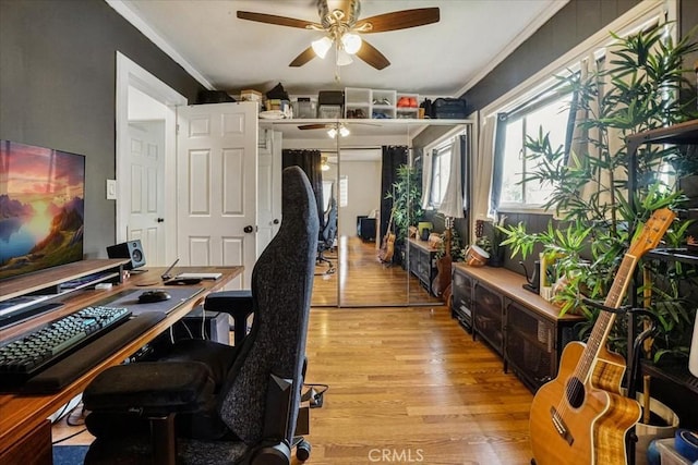 home office with a ceiling fan, crown molding, and light wood-style flooring