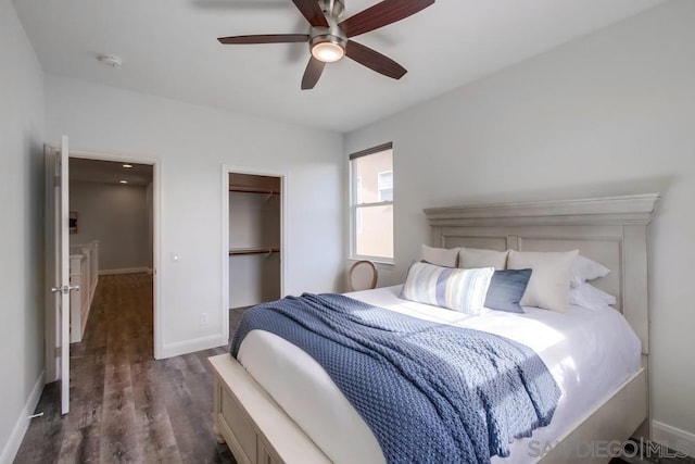 bedroom featuring a closet, ceiling fan, dark hardwood / wood-style flooring, and a spacious closet