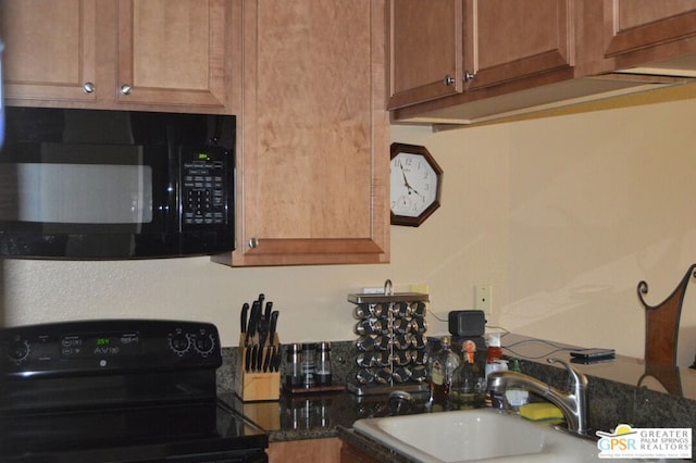 kitchen with sink and black appliances