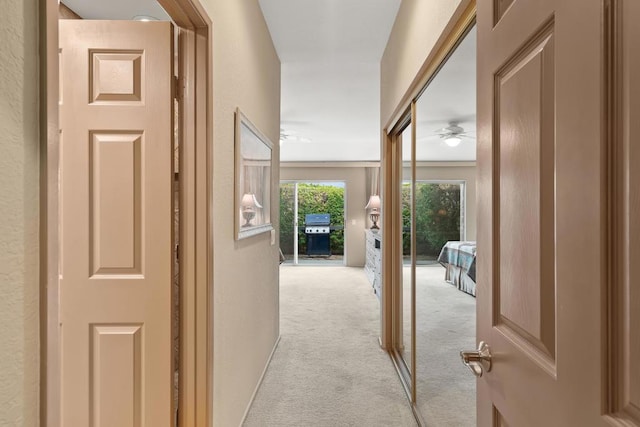 corridor with light colored carpet