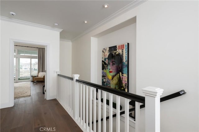 hallway featuring dark hardwood / wood-style floors and ornamental molding