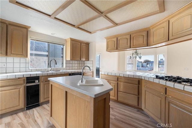 kitchen with light wood-style flooring, an island with sink, tasteful backsplash, and a sink