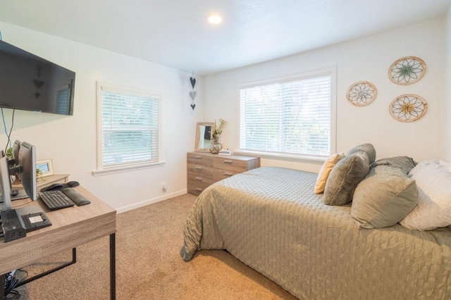 bedroom with carpet