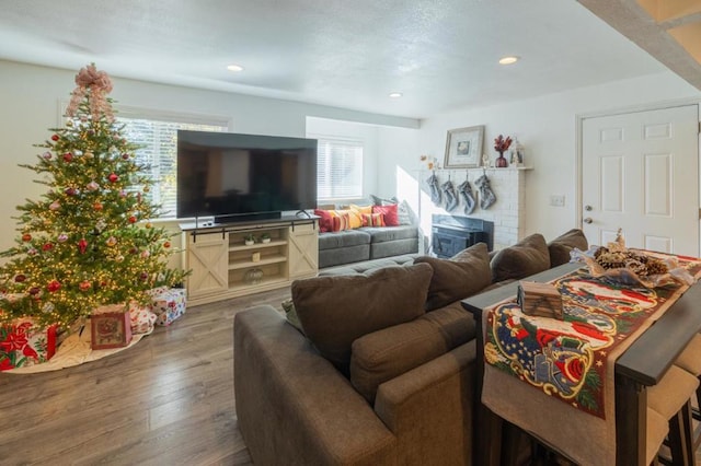 living room featuring a fireplace and wood-type flooring