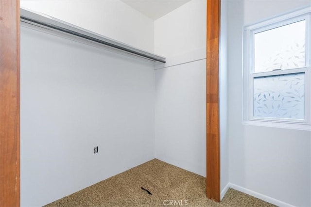 spacious closet featuring carpet