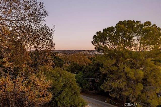 view of nature at dusk