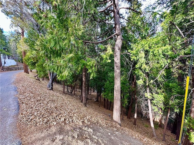 291 Hillside Rd, Lake Arrowhead, CA 92352