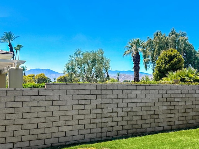 details with a mountain view