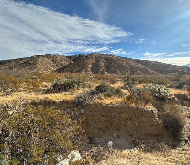 12345 29 Palms Hwy, Morongo Valley CA, 92256 land for sale