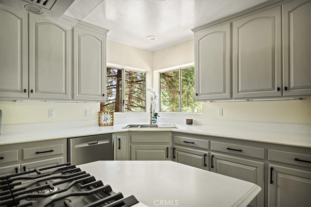 28670 Shenandoah Dr, Lake Arrowhead, CA 92352 - kitchen featuring stainless steel dishwasher and light countertops