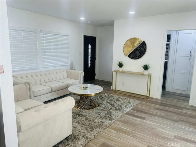 living room with light wood-type flooring