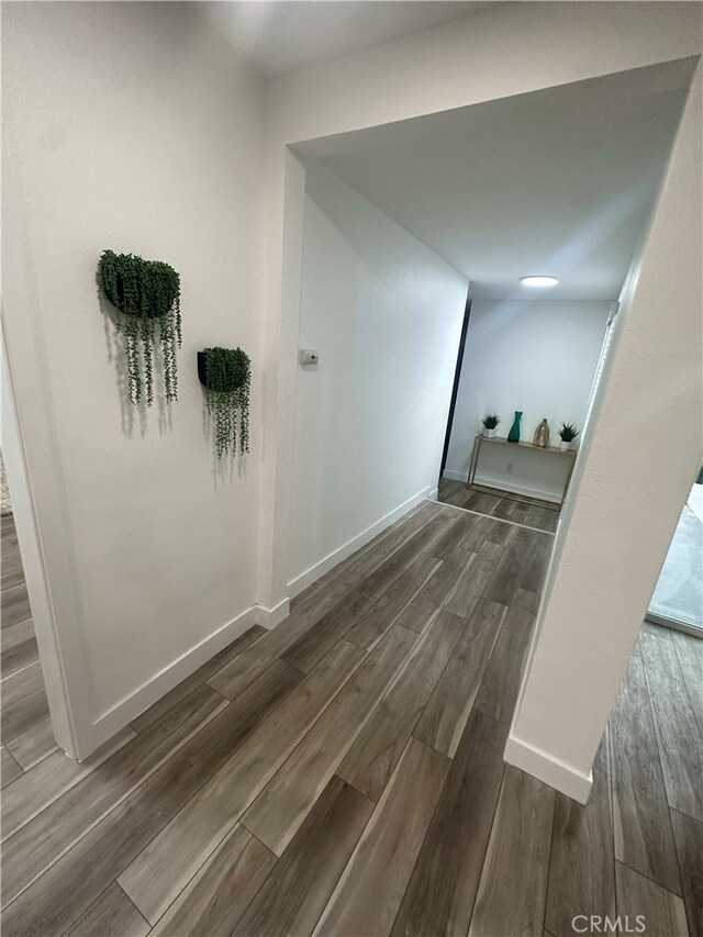 hallway with dark hardwood / wood-style flooring