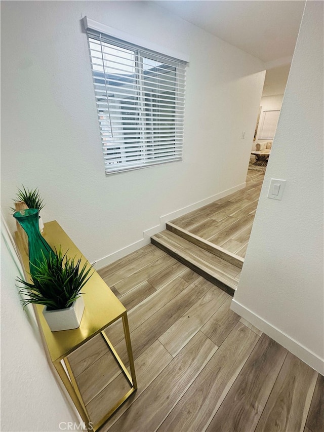 staircase with hardwood / wood-style flooring