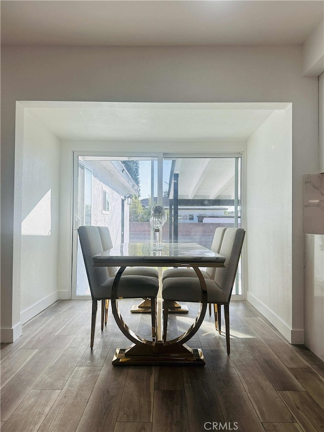 dining area featuring hardwood / wood-style floors