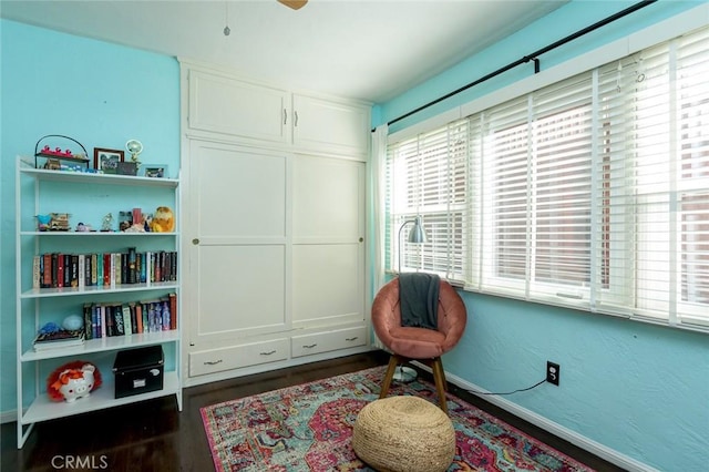 sitting room featuring dark hardwood / wood-style floors