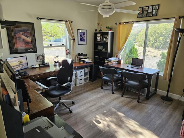 office with ceiling fan, a wealth of natural light, and hardwood / wood-style flooring