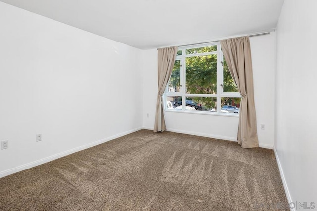 spare room with carpet floors