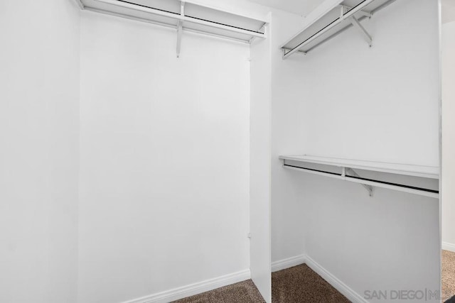 walk in closet with carpet