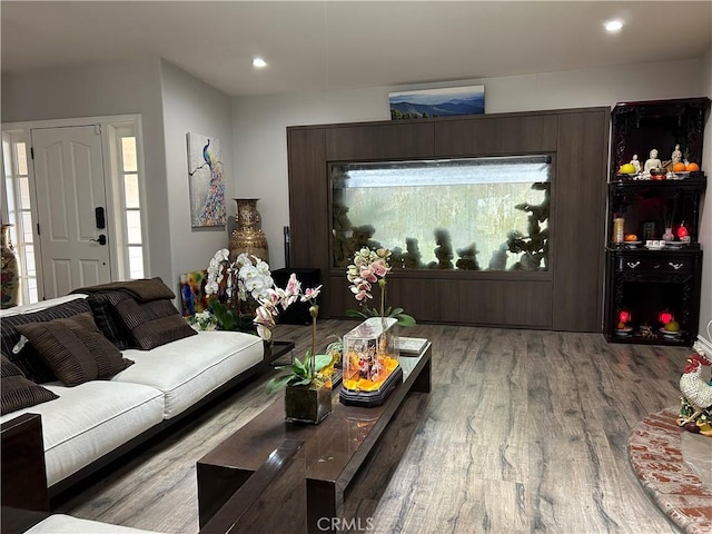 living room featuring hardwood / wood-style floors