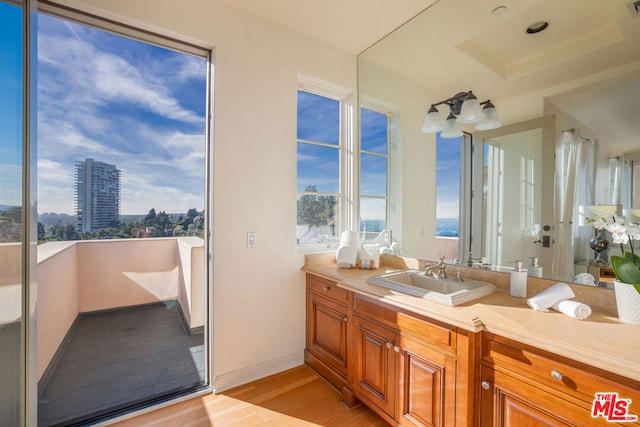 bathroom with vanity, hardwood / wood-style flooring, and a wealth of natural light