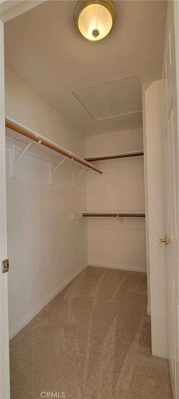 spacious closet with carpet flooring