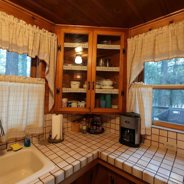 interior space with tasteful backsplash and sink