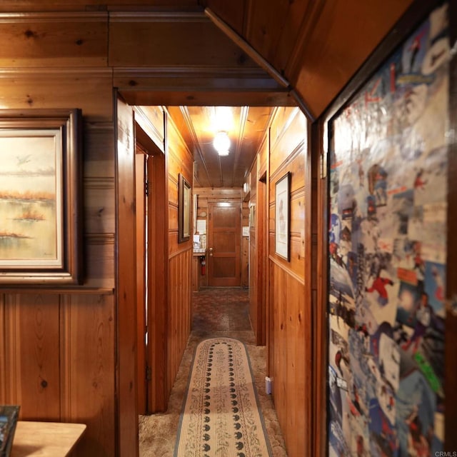 hallway with wood walls and carpet floors